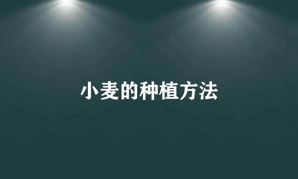 小麦的种植方法