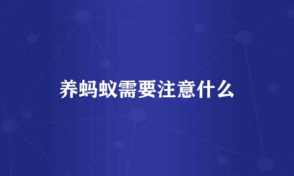 养蚂蚁需要注意什么
