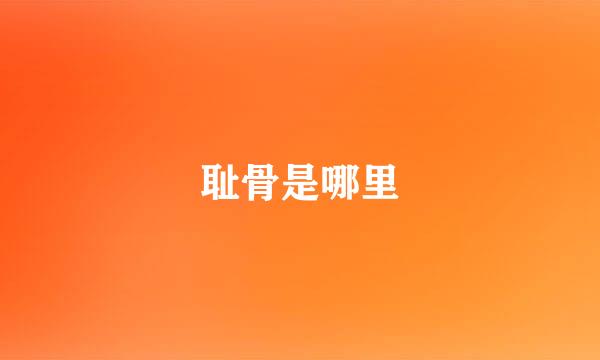 耻骨是哪里