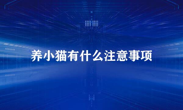 养小猫有什么注意事项