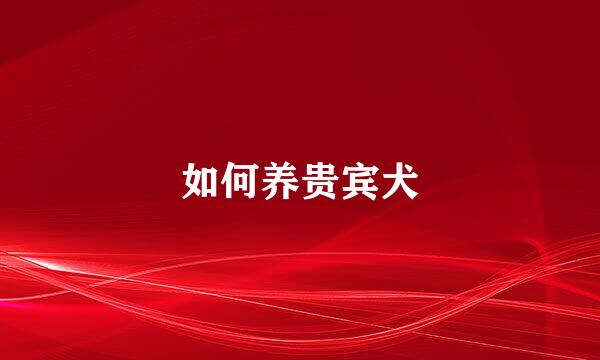 如何养贵宾犬