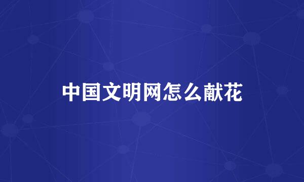 中国文明网怎么献花
