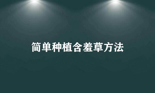 简单种植含羞草方法