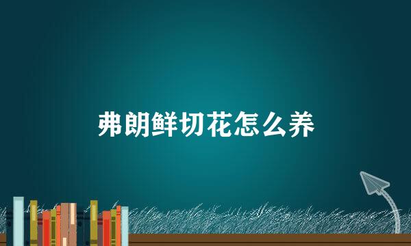 弗朗鲜切花怎么养