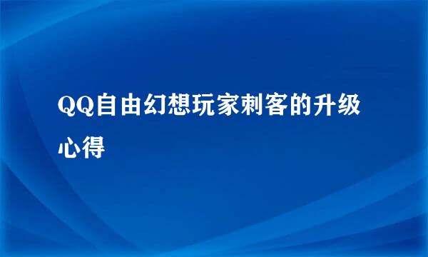QQ自由幻想玩家刺客的升级心得