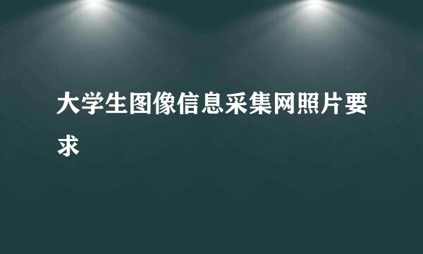 大学生图像信息采集网照片要求