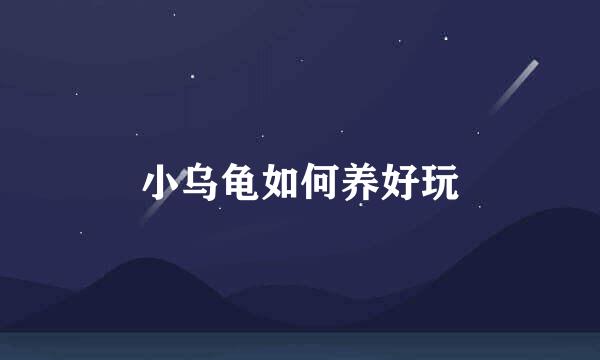 小乌龟如何养好玩