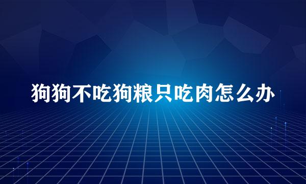狗狗不吃狗粮只吃肉怎么办