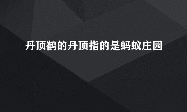 丹顶鹤的丹顶指的是蚂蚁庄园