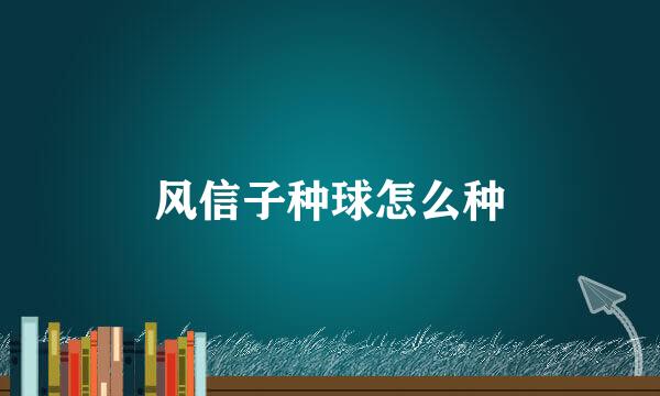 风信子种球怎么种