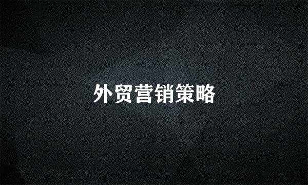 外贸营销策略