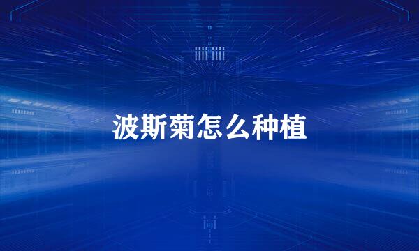 波斯菊怎么种植