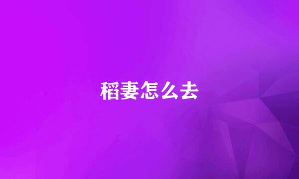 稻妻怎么去