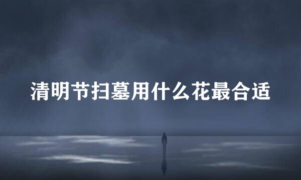 清明节扫墓用什么花最合适