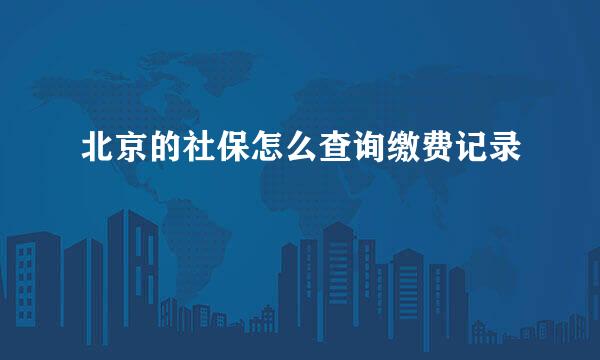 北京的社保怎么查询缴费记录