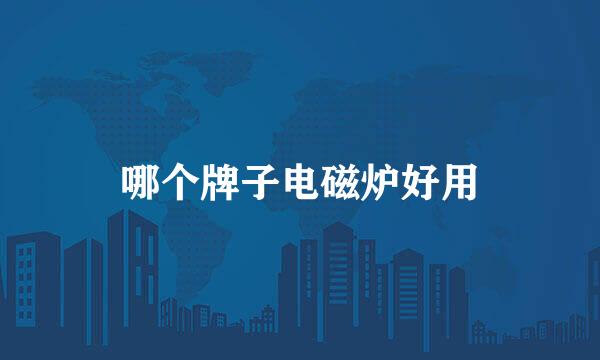 哪个牌子电磁炉好用