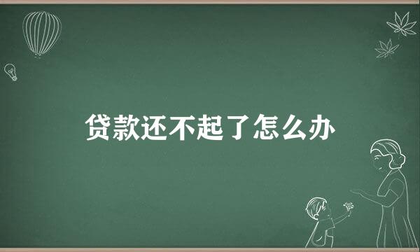 贷款还不起了怎么办