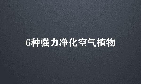 6种强力净化空气植物