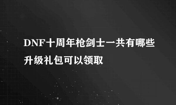 DNF十周年枪剑士一共有哪些升级礼包可以领取