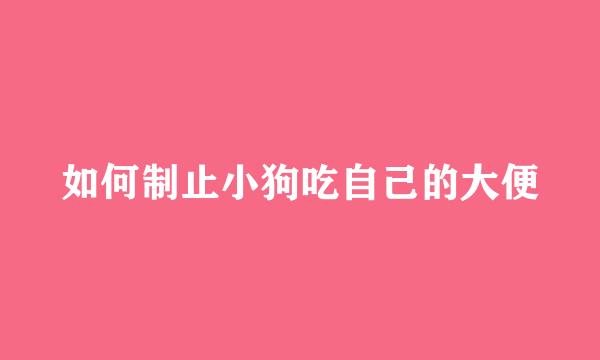 如何制止小狗吃自己的大便