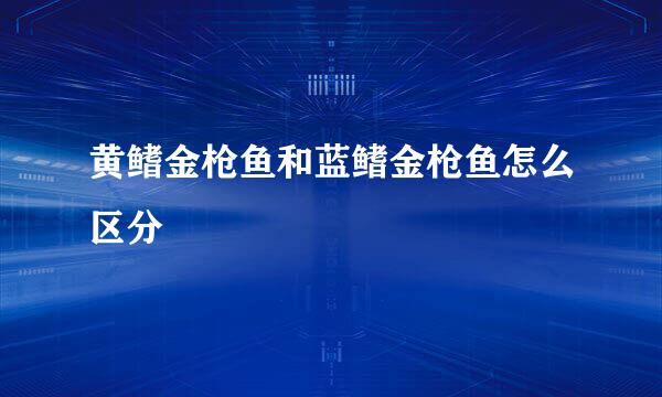 黄鳍金枪鱼和蓝鳍金枪鱼怎么区分