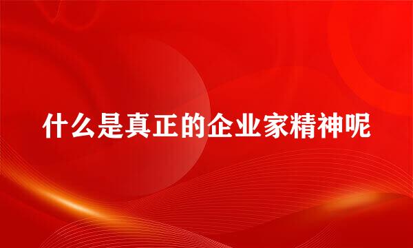 什么是真正的企业家精神呢