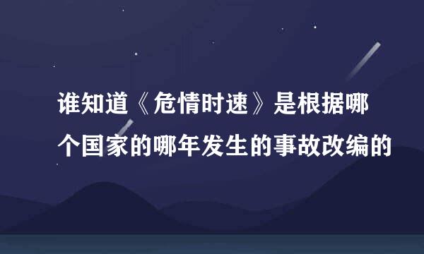 谁知道《危情时速》是根据哪个国家的哪年发生的事故改编的