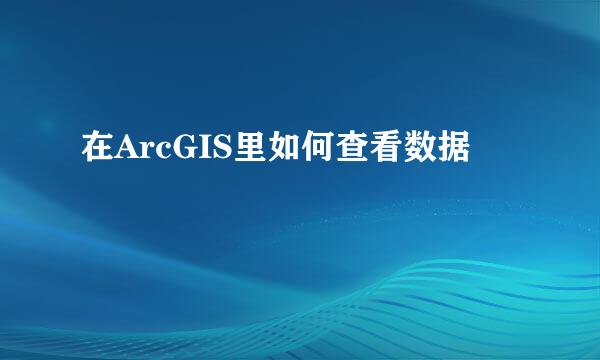 在ArcGIS里如何查看数据