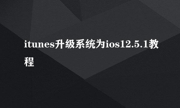itunes升级系统为ios12.5.1教程