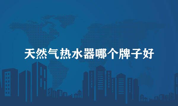 天然气热水器哪个牌子好