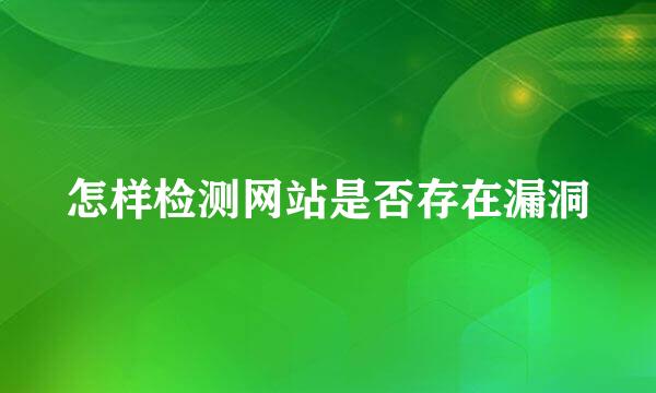 怎样检测网站是否存在漏洞