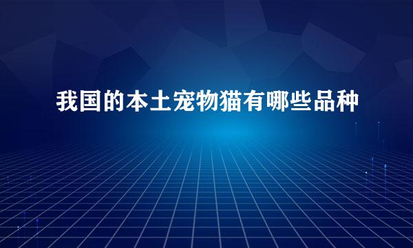 我国的本土宠物猫有哪些品种