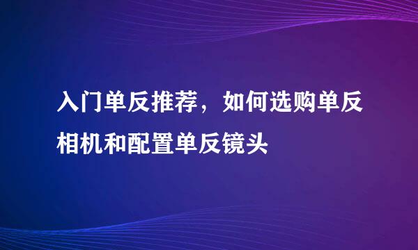入门单反推荐，如何选购单反相机和配置单反镜头