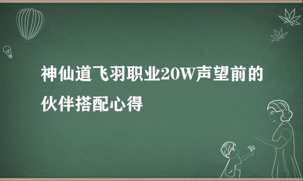 神仙道飞羽职业20W声望前的伙伴搭配心得