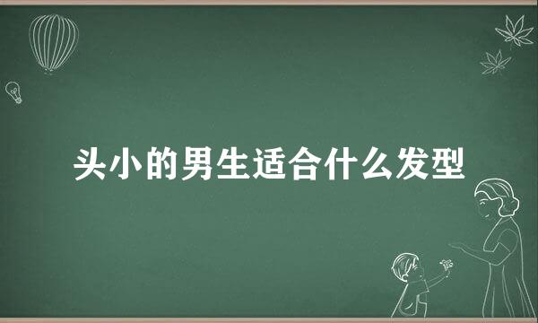 头小的男生适合什么发型