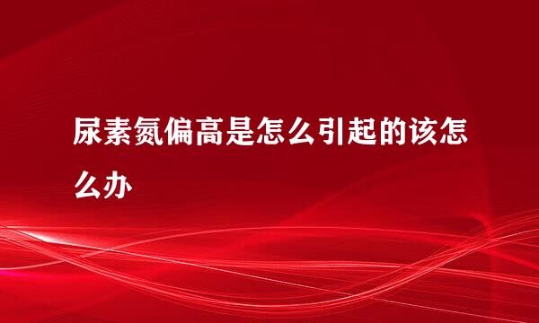 尿素氮偏高是怎么引起的该怎么办