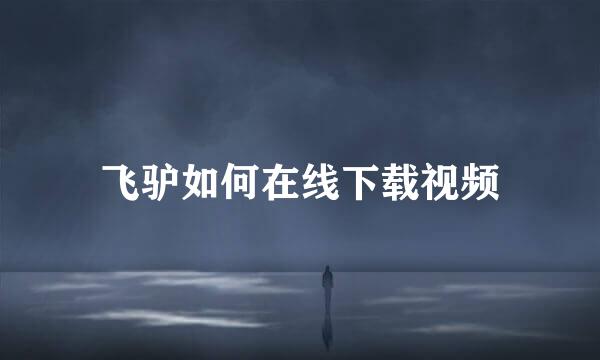 飞驴如何在线下载视频