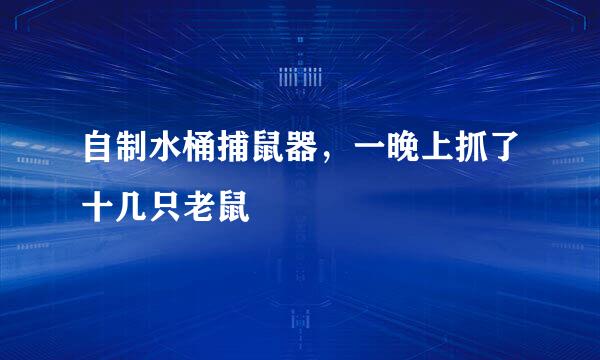 自制水桶捕鼠器，一晚上抓了十几只老鼠
