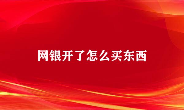 网银开了怎么买东西