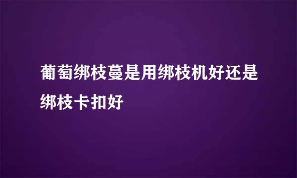 葡萄绑枝蔓是用绑枝机好还是绑枝卡扣好