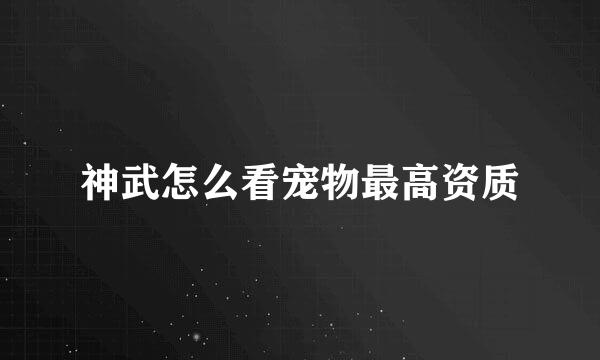 神武怎么看宠物最高资质