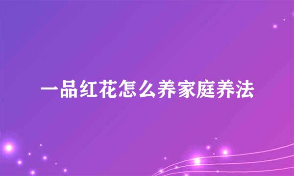一品红花怎么养家庭养法