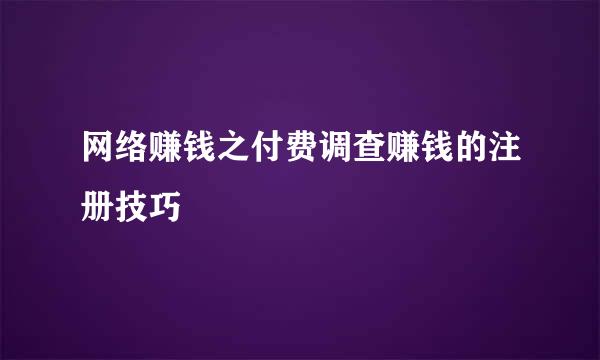 网络赚钱之付费调查赚钱的注册技巧