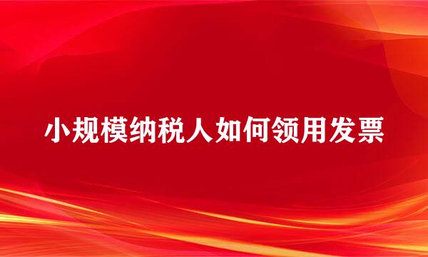 小规模纳税人如何领用发票