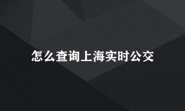 怎么查询上海实时公交