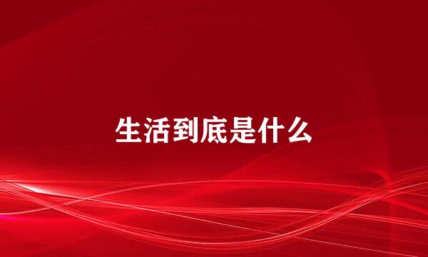 生活到底是什么