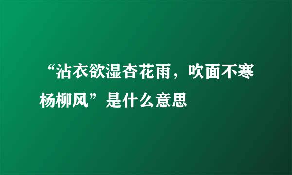 “沾衣欲湿杏花雨，吹面不寒杨柳风”是什么意思