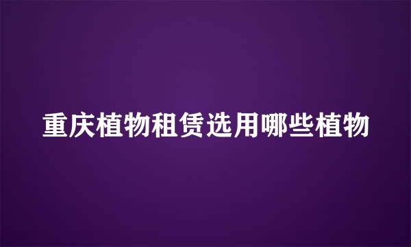重庆植物租赁选用哪些植物
