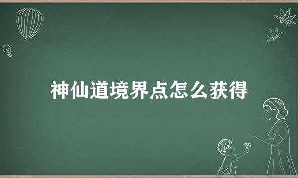 神仙道境界点怎么获得