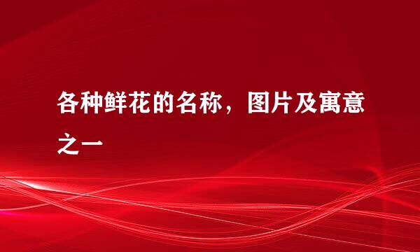 各种鲜花的名称，图片及寓意之一
